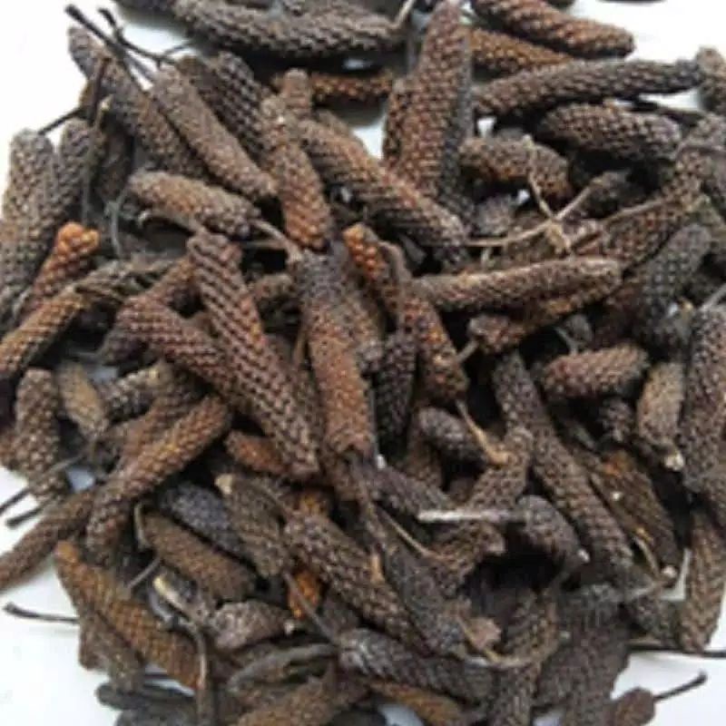 cabe jamu cabe jawa cabe puyang