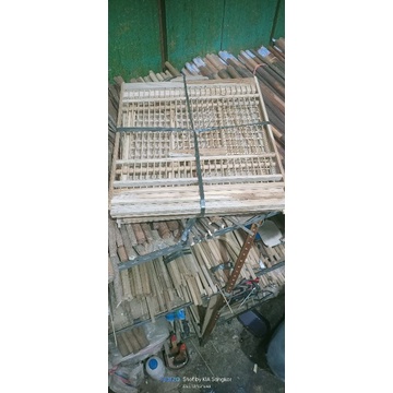 ambrukan sangkar kandang penjinakan wambi dari solo