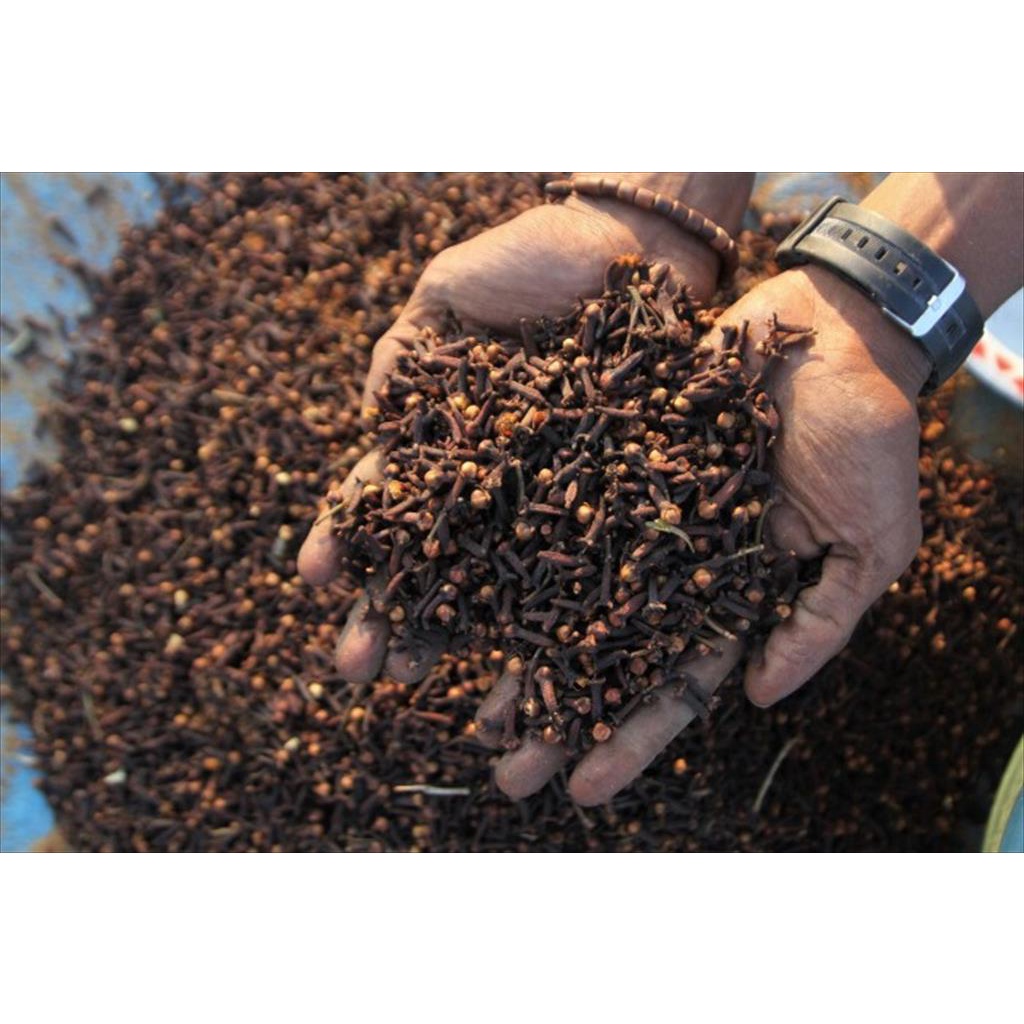 Bunga Cengkeh Utuh Kering Whole Dried Cloves 1 Kg Biji Cengkih Clove