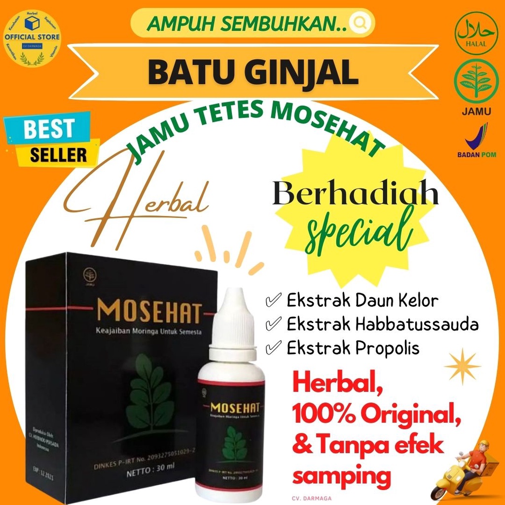 

Obat Batu Ginjal Mosehat Herbal Alami Ampuh Tanpa Operasi