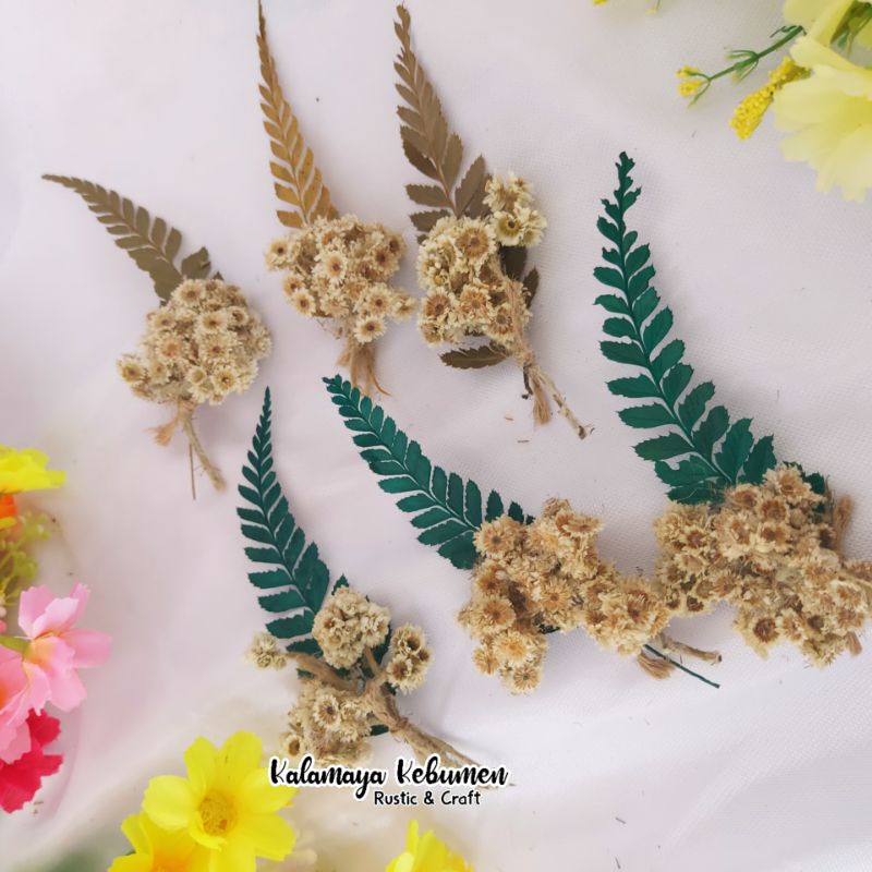 Midi Cemara Tangkai Buket Bunga Kering Dekorasi Rustic Mahar Dried Flower Lagurus Caspea Lavender