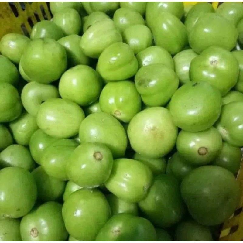 

tomat hijau sayur segar 250/500/1 kg segar fresh