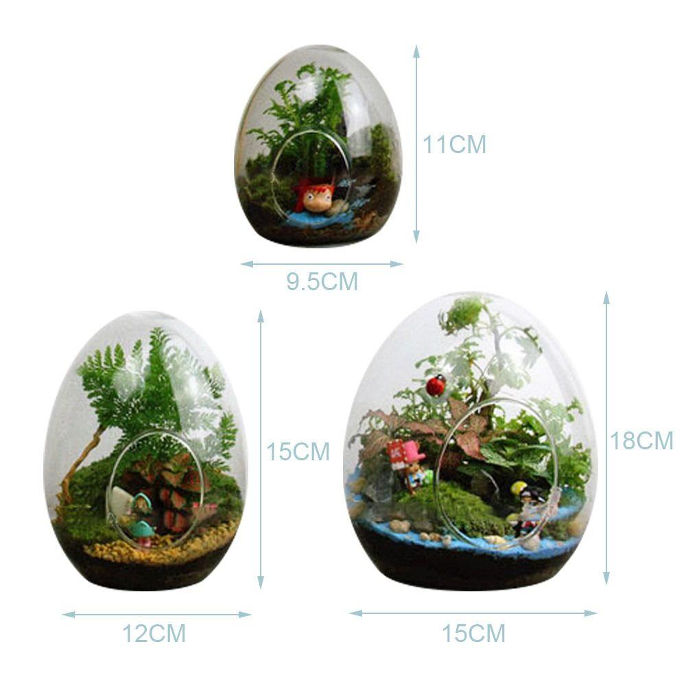 Chookyy Botol Kaca Terrarium Kreatif Hidroponik Micro Landscape Glass