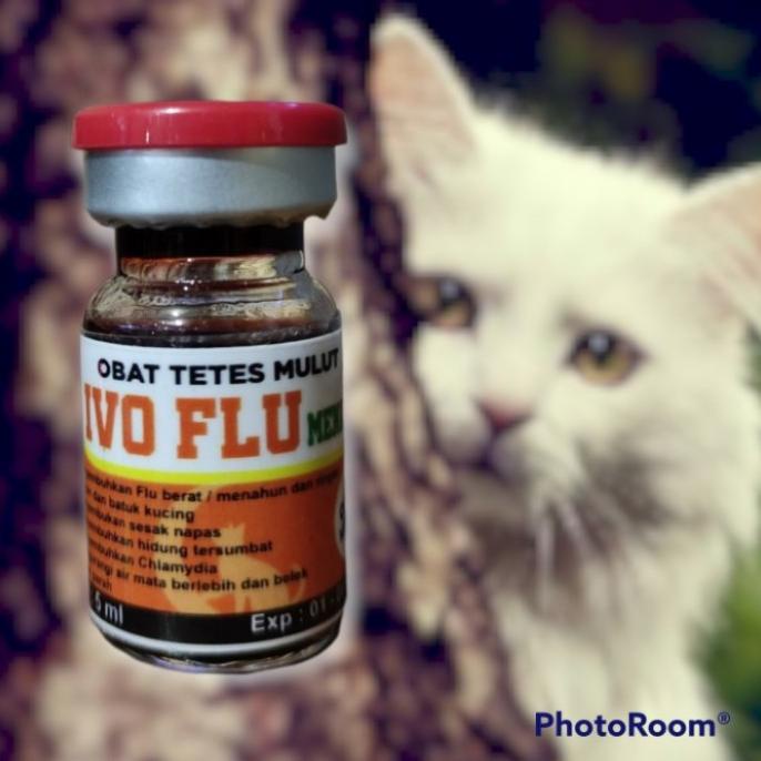 [BERGARANSI] IVO FLU OBAT TETES UNTUK FLU KUCING MENAHUN/BERAT