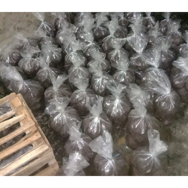 

GULA AREN SUPER CURUP