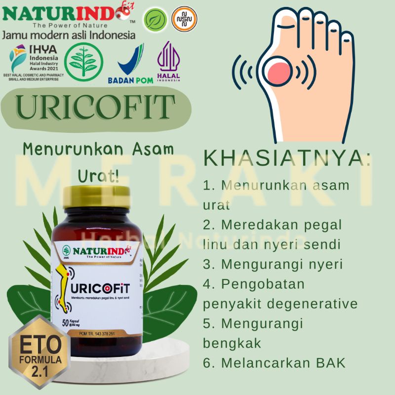 Obat Asam Urat Obat Herbal Asam Urat Obat Kesemutan Jamu Herbal Asam Urat Alami Uricofit Naturindo