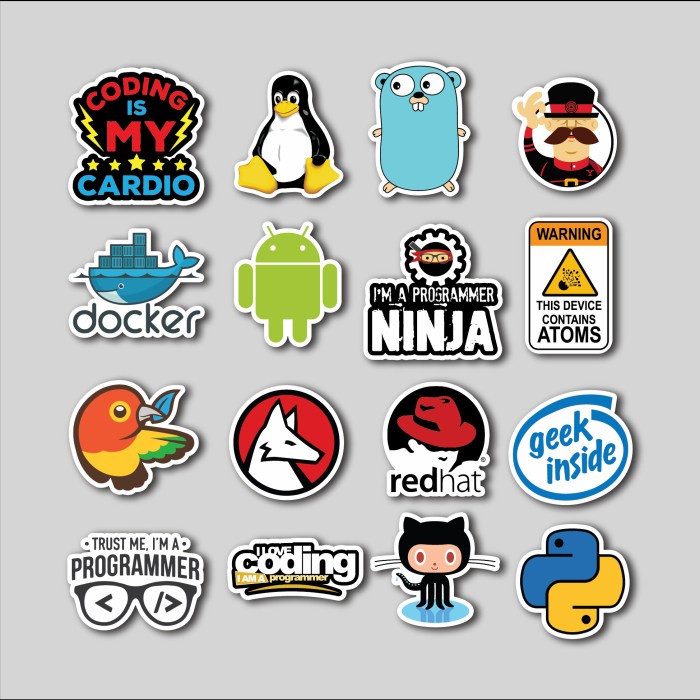 Skin Sticker Programmer Murah