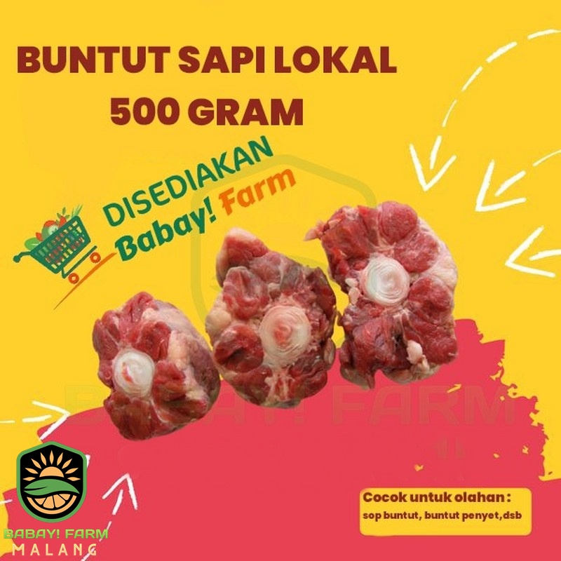 

Buntut Sapi / Oxtail Beef 500 gram