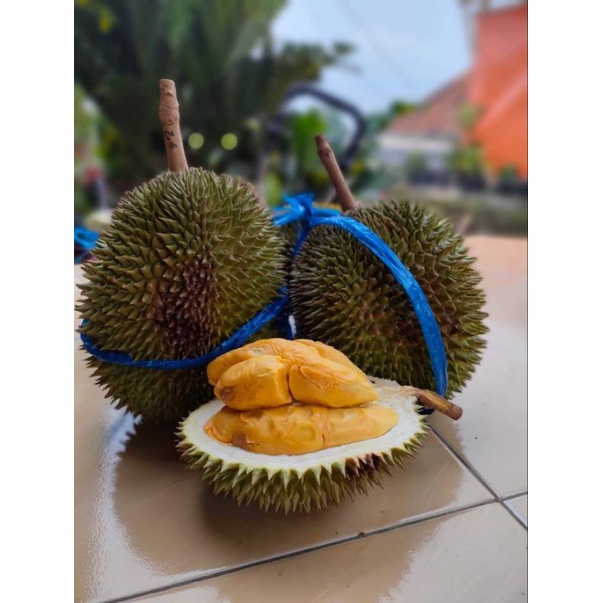 

Durian Bulat Utuh Fresh Masmuar 2kg Kuning Orange