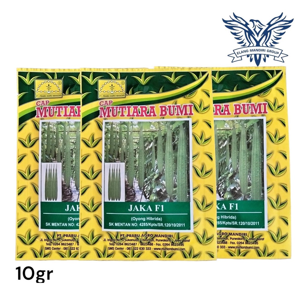 Jaka F1 10gr Benih Oyong Gambas Hibrida Mutiara Bumi Azura