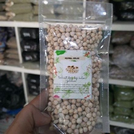 

Biji Kelor Kupas 50gr Kernel Moringa