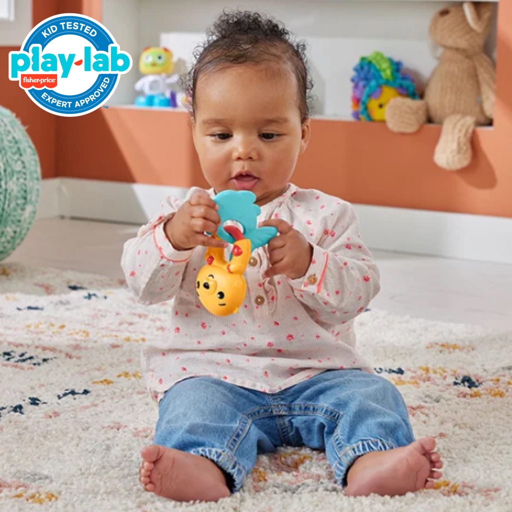 Fisher Price Teething Time Otter Teether - Mainan Gigitan Anak