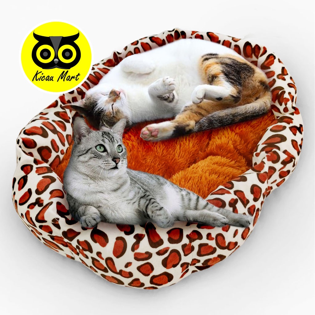 Bantal Kucing Jumbo XXL 60 cm Alas Tidur Kucing Jumbo Premium Kasur Bulu Rasfur Super Tebal Tempat Tidur Kucing Sempati Bantal Silikon Empuk Ranjang Tidur Kucing Kitten Anabul Sugar Glider Hamster