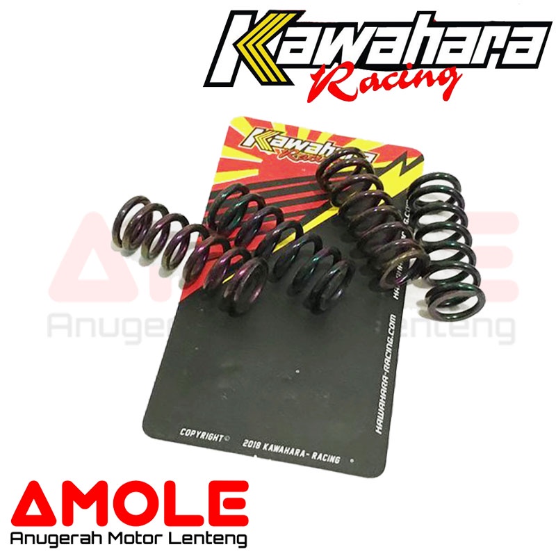 Per Kopling / Clutch Spring Kawahara Kawasaki Ninja 150R RR