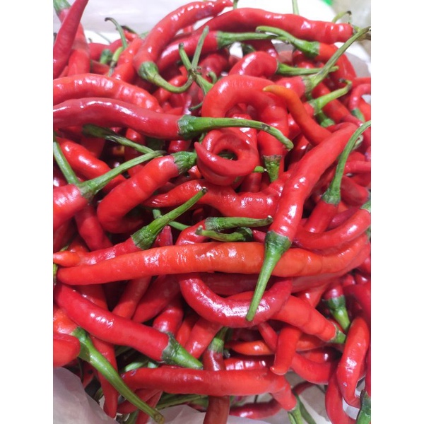 

cabe merah keriting Murah