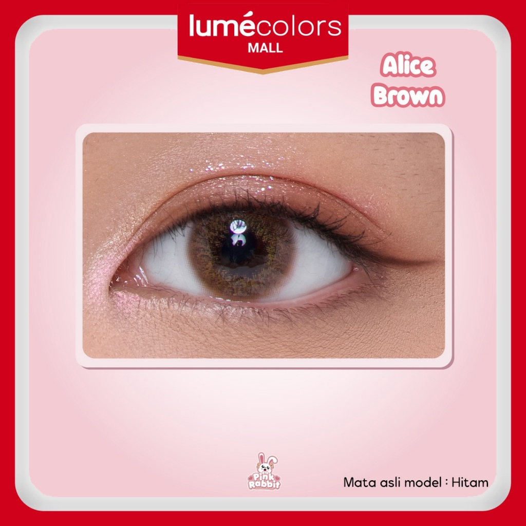 Pink Rabbit Softlens Minus Alice Soflens Brown