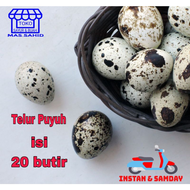 

Telur Puyuh 20 Butir