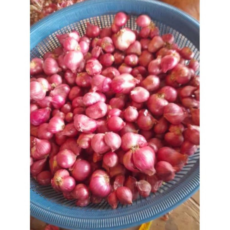 

bawang merah 250 gram super
