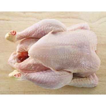 

Daging Ayam Utuh 1 Ekor uk 1,2 kg