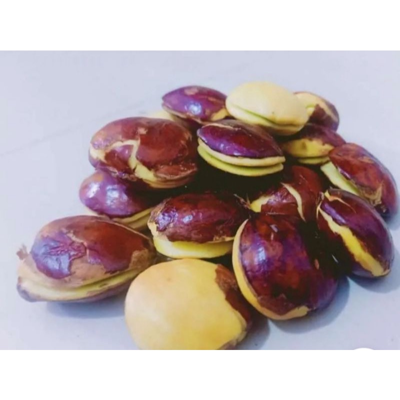 

jengkol tua besar bandung 100gr