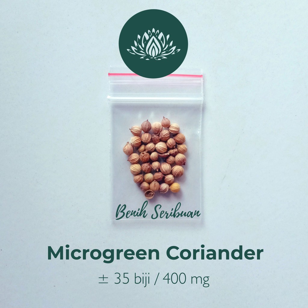 Benih Seribuan - 35 Bibit Microgreen Coriander Ketumbar Sprout Organik Unggul