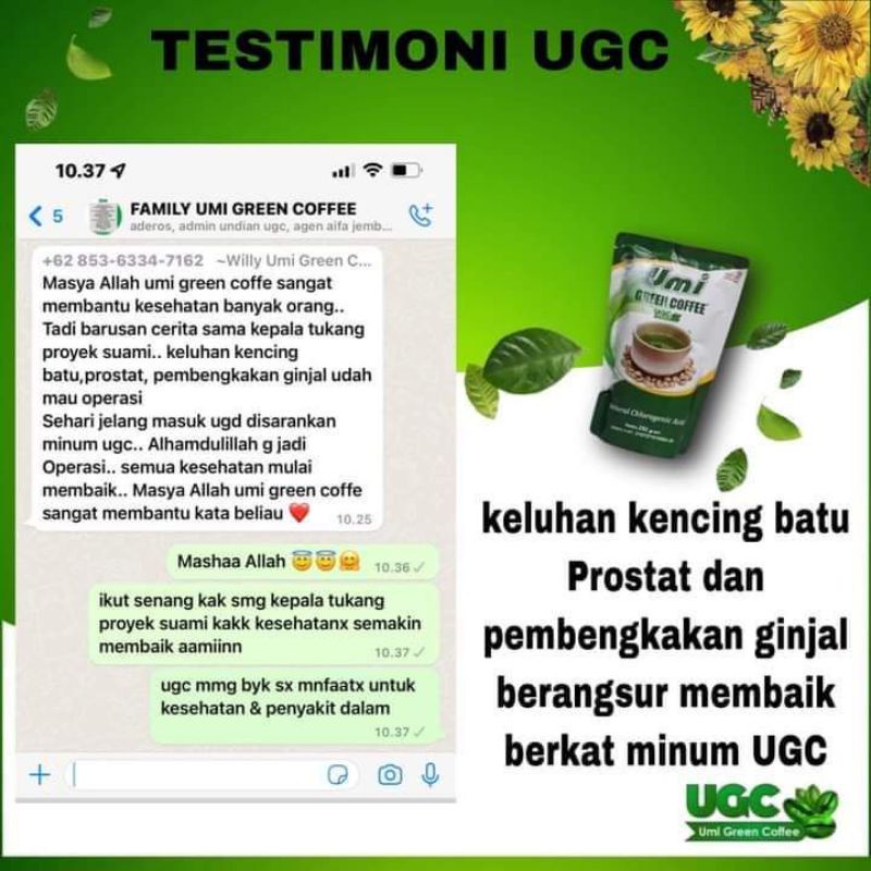 

umi green coffe