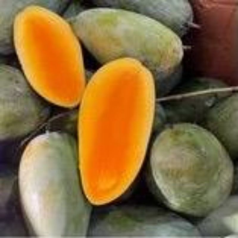

Buah mangga Kiojay / Thailand organik