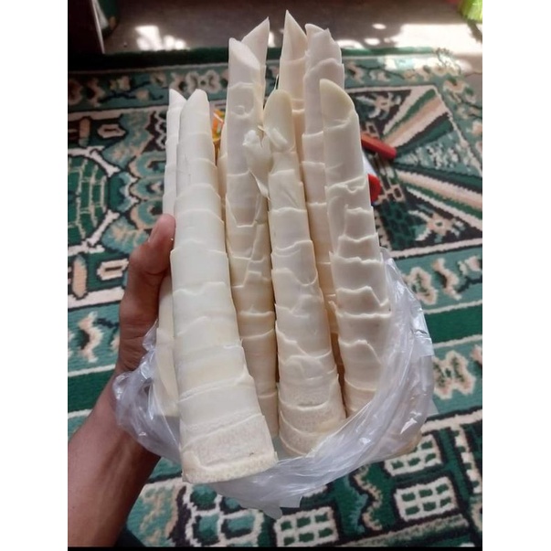 rebung bambu sayur rebung bambu muda1kilo