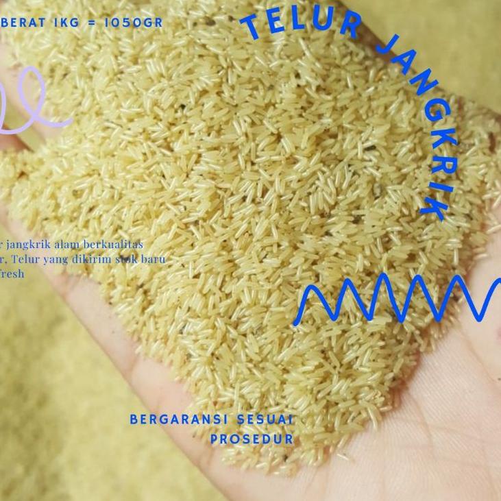 

Promo | KF7 | (SIAP COD)_Tj_Alam_super 1kg