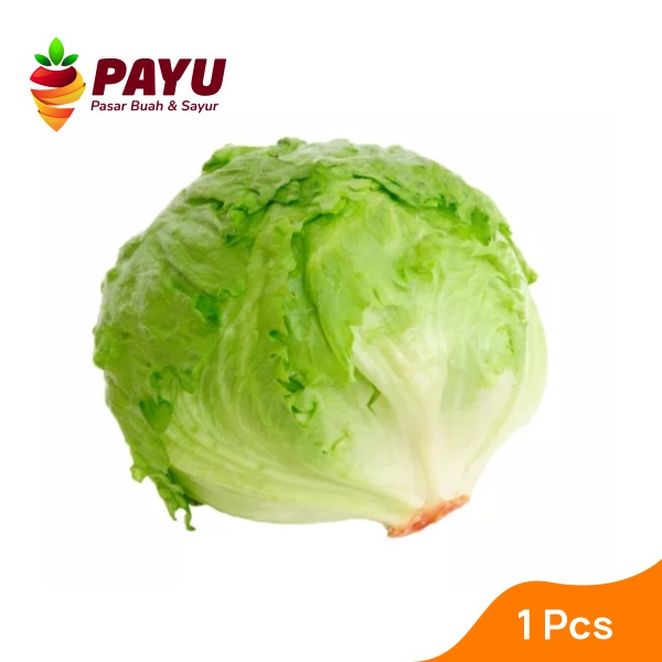 

Lettuce Head / Iceberg [500g]