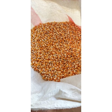 

Jagung Kering Biasa 1Kg