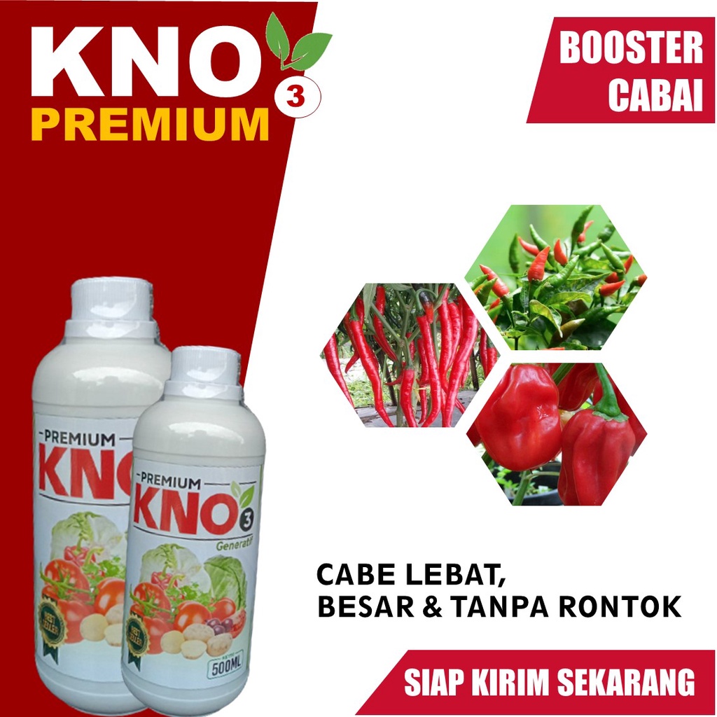 Obat Menumbuh Bunga dan buah Cabe Anti Rontok dan Layu - KNO3 Premium 500 ML Pupuk Organik Cabe Terb