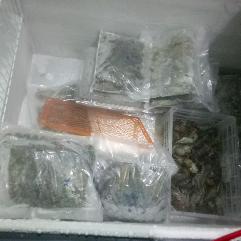 

lobster air tawar frozen