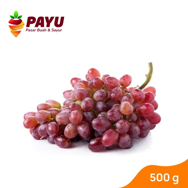 

PAYUFRESH | Anggur Red Globe [200g / 500g]
