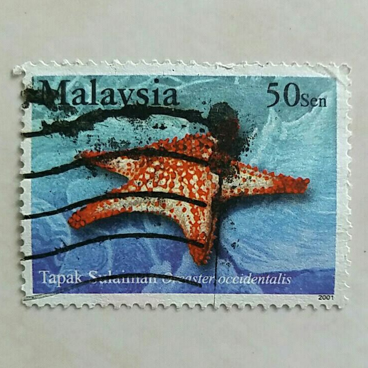 

(AD) Perangko Malaysia Seri Stamp Week : Endangered Sea Life (2001) Used