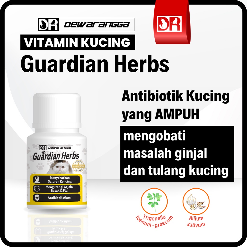 Govis Vitamin Kucing Guardian Herbs Dewarangga - Antibiotik Alami Kucing - Anti Biotik Alami Kucing - Obat Ginjal Kucing - Vitamin Tulang Kucing - Obat Tulang Kucing