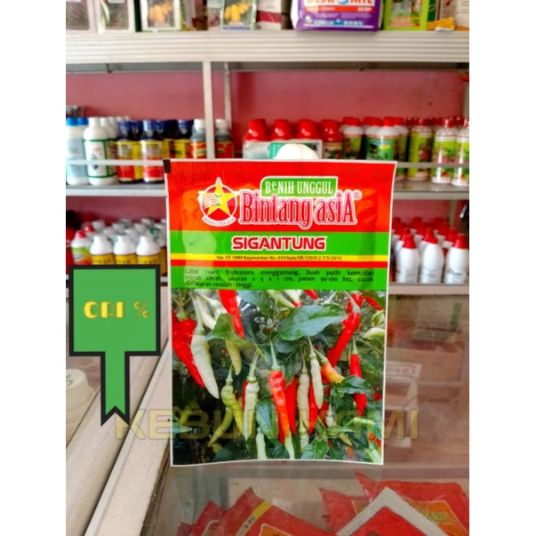 BENIH CABE SIGANTUNG BINTANG ASIA 10 GR