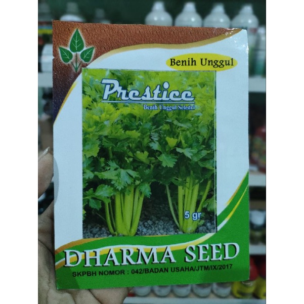 Sledri Super PRESTICE Kemasan 5gr Original Pabrik Dharma Seed