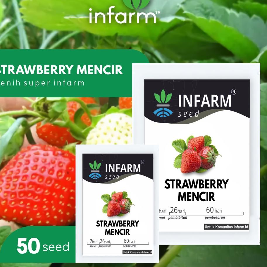 TERBARU  INFARM - Benih Bibit Biji Super Buah Strawberry Mencir Cocok untuk Dataran Rendah