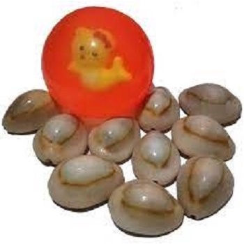 Mainan Bola Bekel/Beklas Kerang Kuwuk