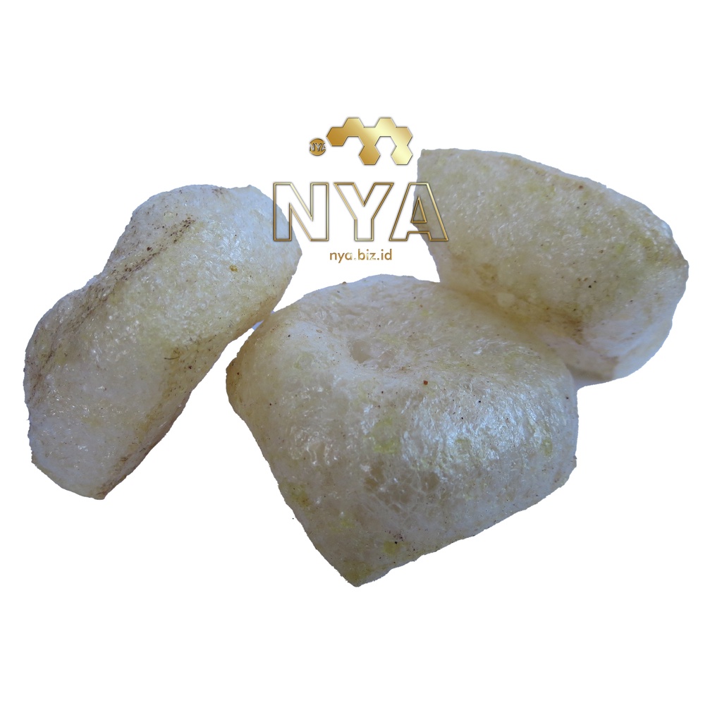 

NYA Rambak Gurih Siap Santap 250g