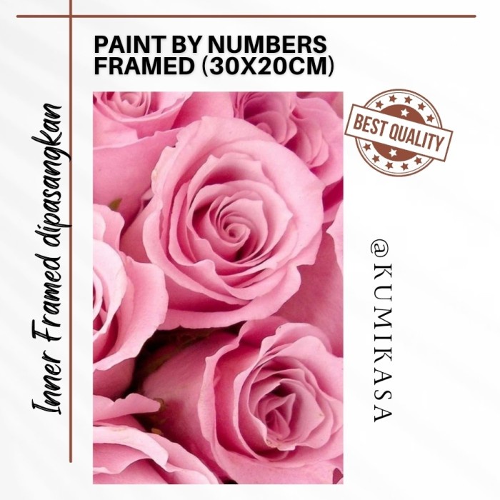 

[TERBARU] DIY painting by number 30x20 kerajinan tangan - PINK ROSES