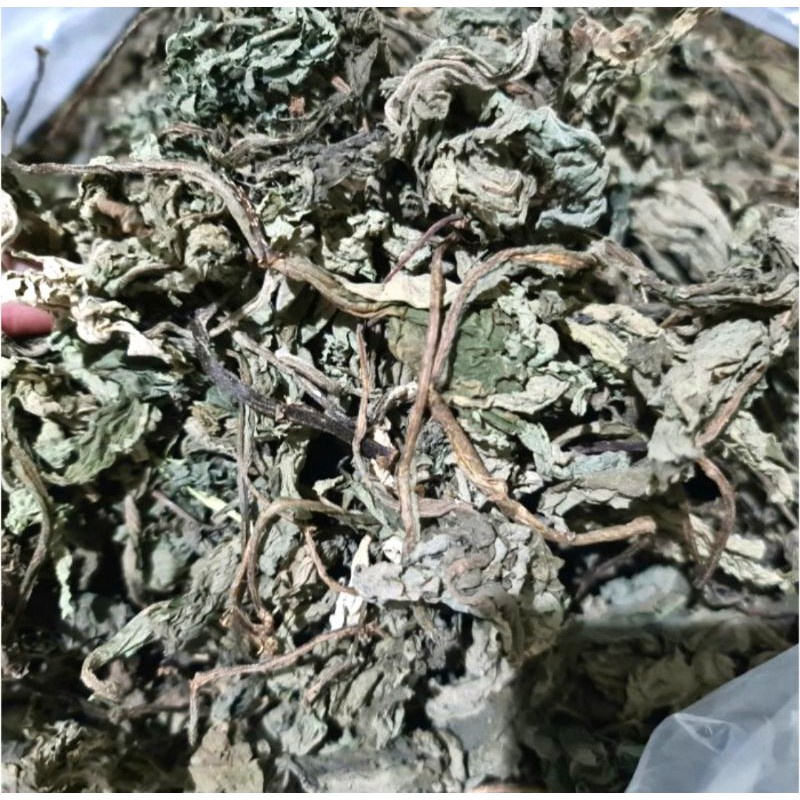 

Daun insulin kering herbal 1kg