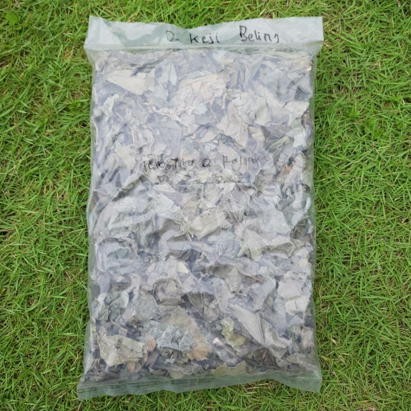 

Daun Keji Beling Kering 250 Gram Geji Pecah