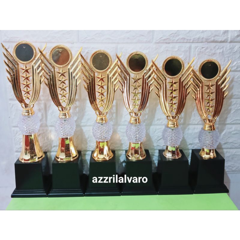 1set piala 224 fg12 juara 1-6