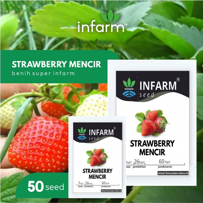 [Bibit] Infarm - Benih Bibit Biji Super Buah Strawberry Mencir Dataran Rendah
