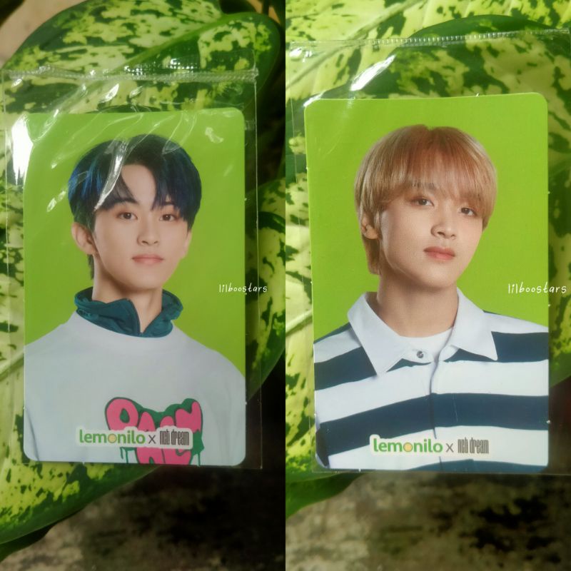PC NCT DREAM LEMONILO HAECHAN MARK LEE OFFICIAL
