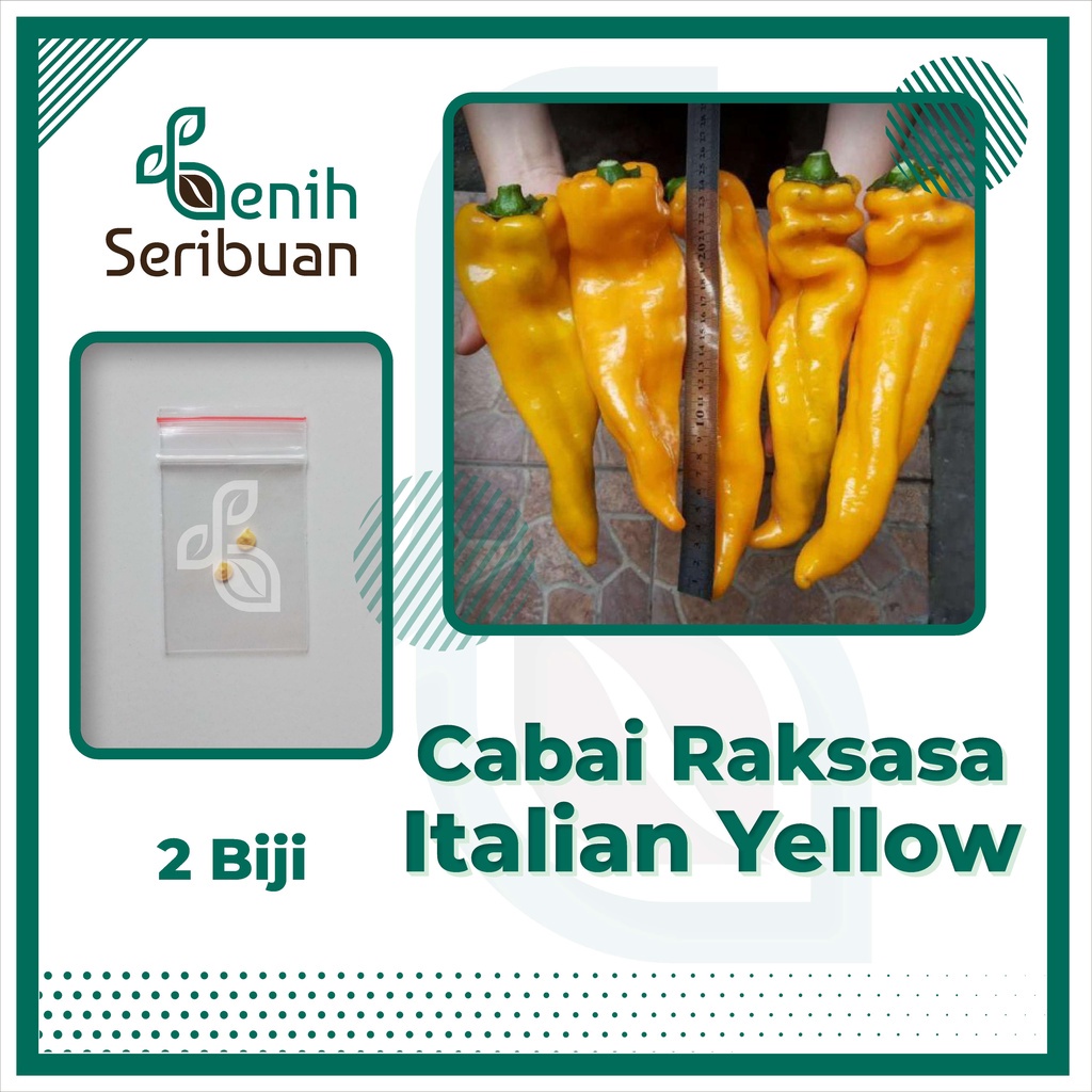 Benih Seribuan - 2 Bibit Cabe Raksasa Sweet Italian Pepper Yellow Unggul