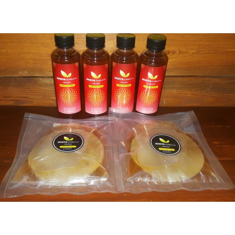2 BIBIT SCOBY KOMBUCHA diameter 9cm-12cm + 4Botol 250ml kombucha tea original