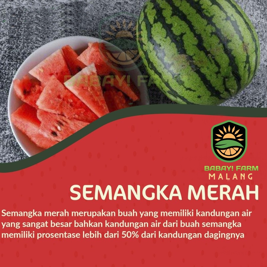 

Buah semangka merah biji